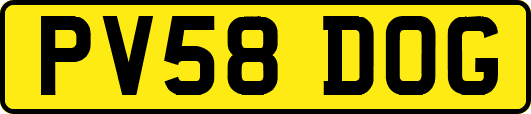PV58DOG