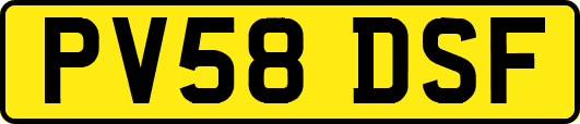 PV58DSF