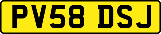 PV58DSJ
