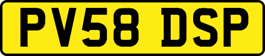 PV58DSP