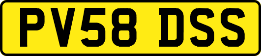 PV58DSS