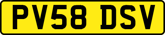 PV58DSV