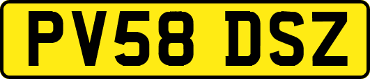 PV58DSZ