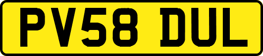 PV58DUL