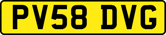 PV58DVG