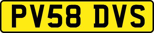 PV58DVS