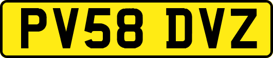 PV58DVZ
