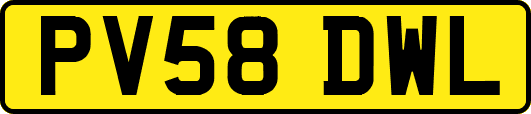 PV58DWL