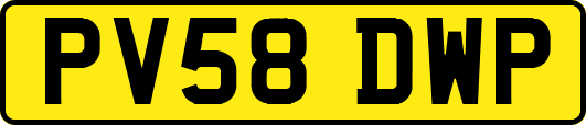 PV58DWP