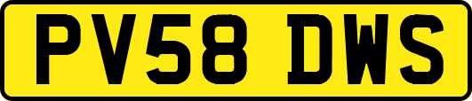 PV58DWS