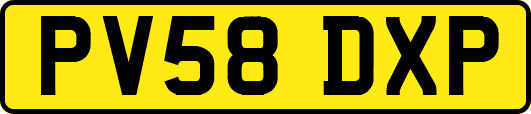 PV58DXP
