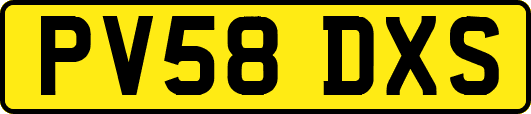 PV58DXS