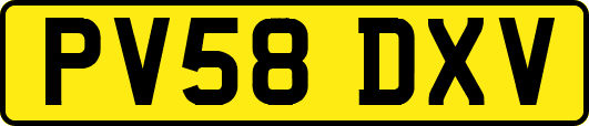 PV58DXV