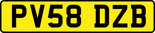 PV58DZB