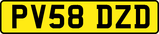 PV58DZD