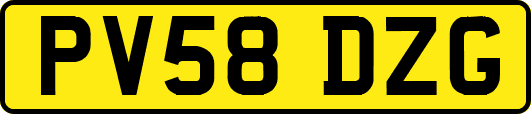 PV58DZG