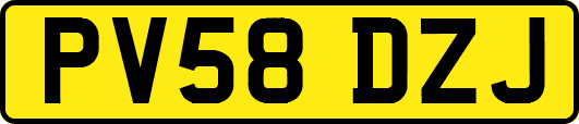 PV58DZJ