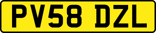PV58DZL