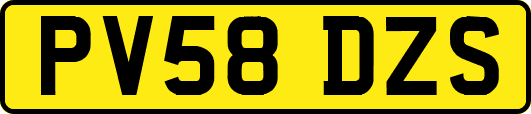 PV58DZS