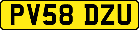 PV58DZU