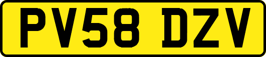 PV58DZV