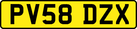 PV58DZX