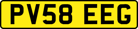 PV58EEG