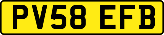 PV58EFB