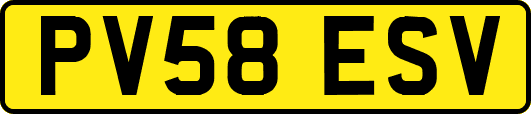 PV58ESV