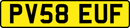 PV58EUF