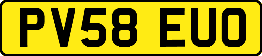 PV58EUO