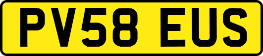 PV58EUS
