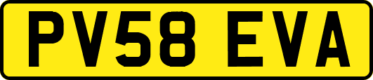 PV58EVA