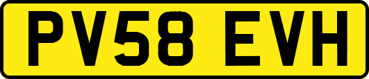 PV58EVH