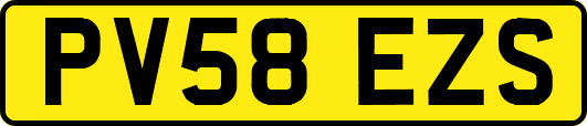 PV58EZS