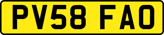 PV58FAO