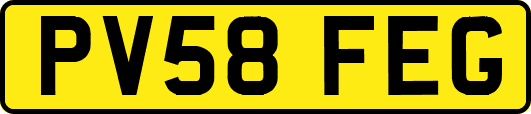 PV58FEG