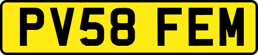 PV58FEM
