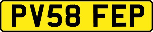 PV58FEP