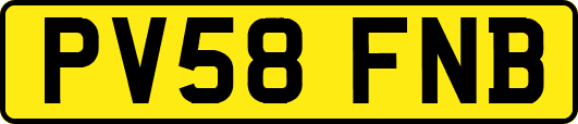 PV58FNB