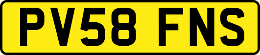 PV58FNS