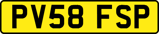 PV58FSP
