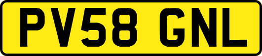 PV58GNL