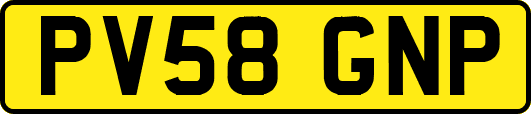 PV58GNP