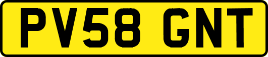 PV58GNT