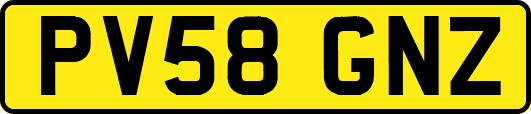 PV58GNZ