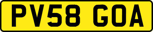 PV58GOA