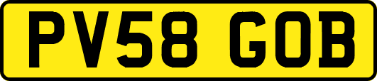 PV58GOB
