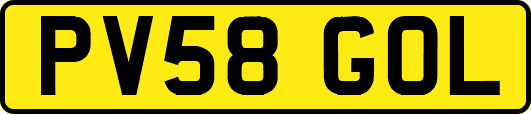 PV58GOL