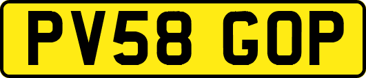 PV58GOP